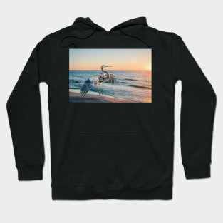 Looking for supper Hoodie